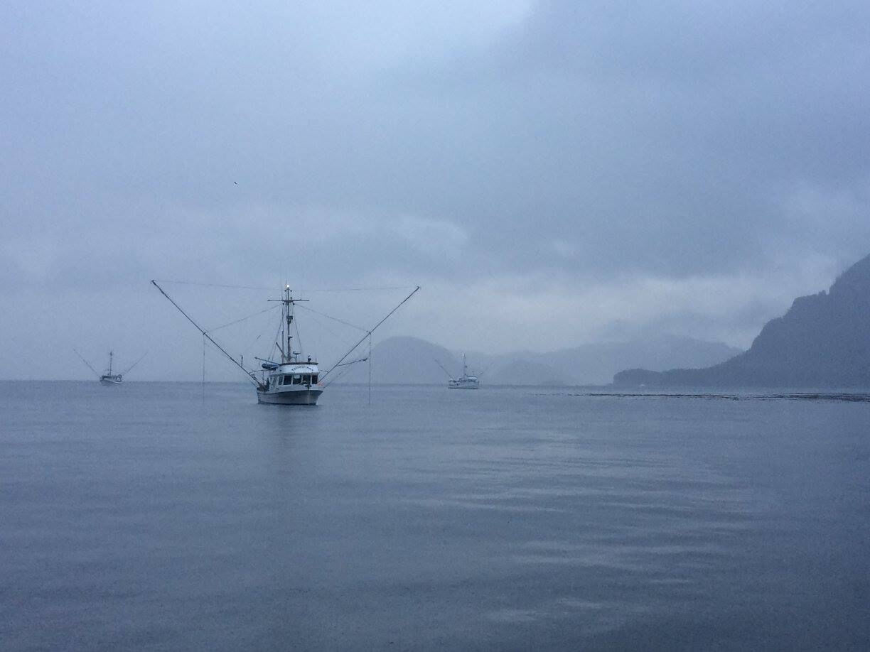 AO_trollers on misty day